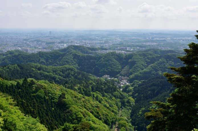 高尾山からの景色