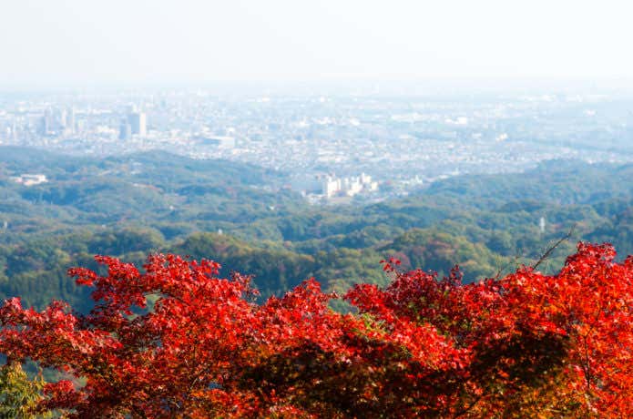 高尾山から見る紅葉