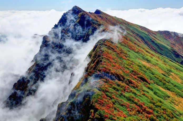 双耳峰