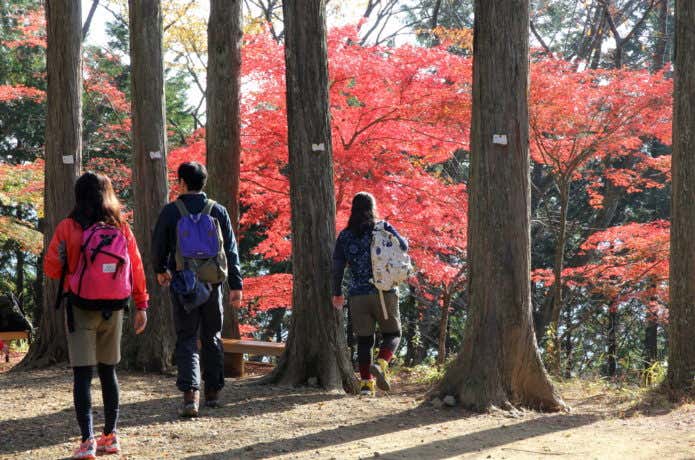 御岳山ハイキング