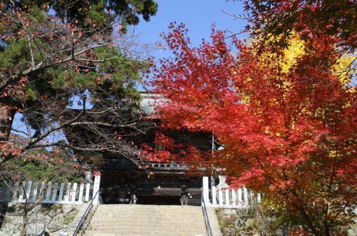 筑波山の紅葉