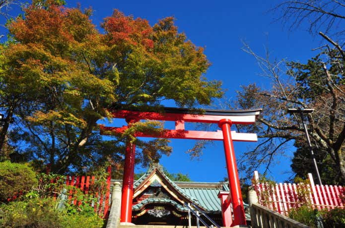 高尾山薬王院の鳥居と紅葉