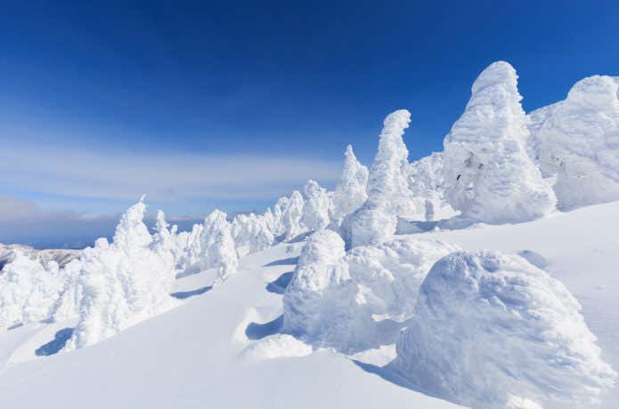 樹氷