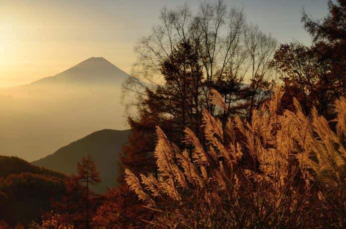 櫛形山からの富士山