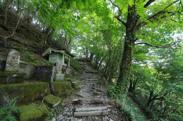 整備された登山道