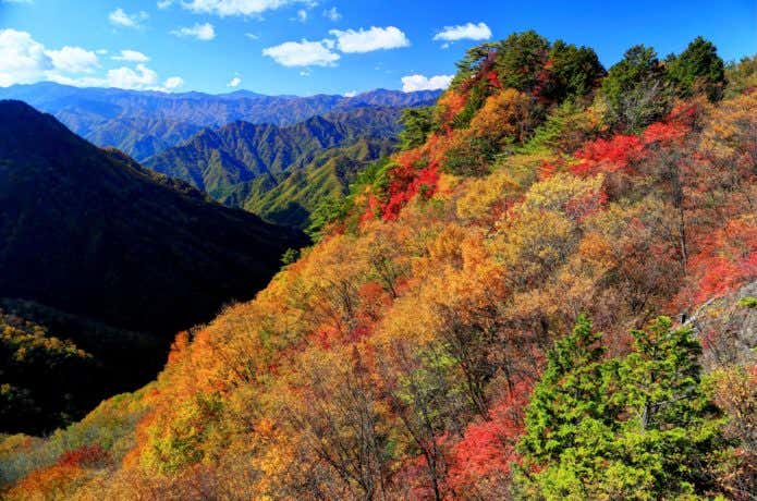 両神山1