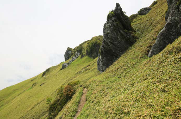 三嶺　樹林帯を抜けた先の稜線