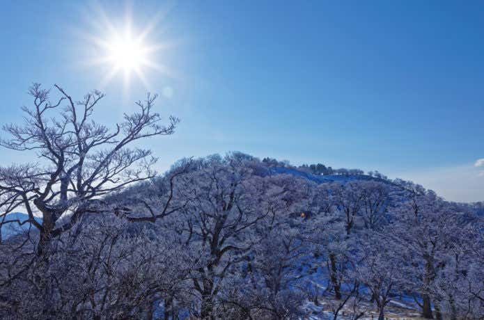 丹沢 樹氷