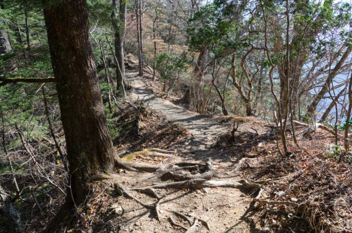 両神山　登山道