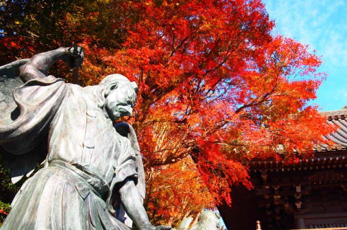 高尾山の紅葉