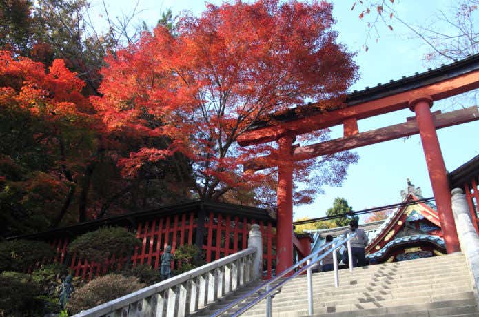 歴史ある高尾山の鳥居