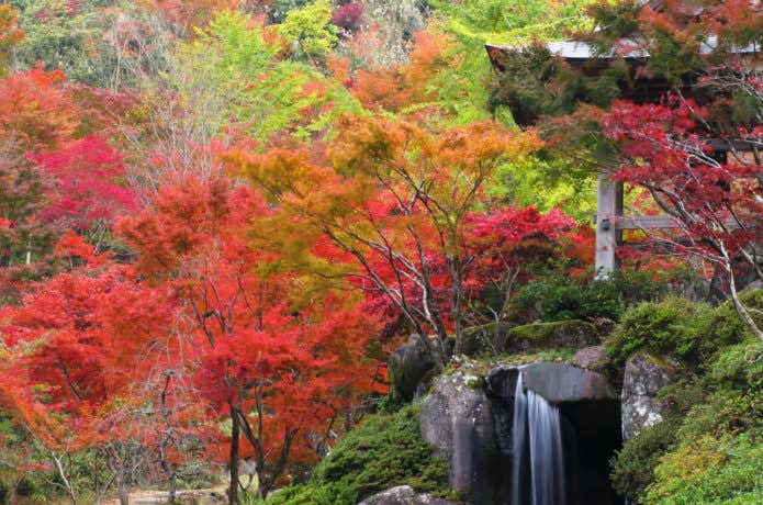 英彦山の紅葉