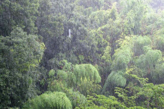 土砂降りの山
