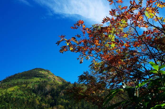 岩菅山　紅葉