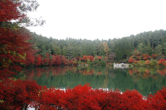 伊奈ヶ湖の紅葉