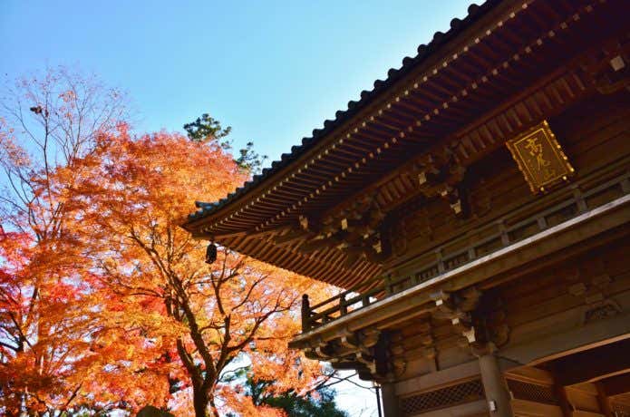 紅葉の高尾山