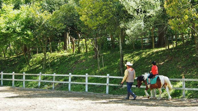 ポニー乗馬体験