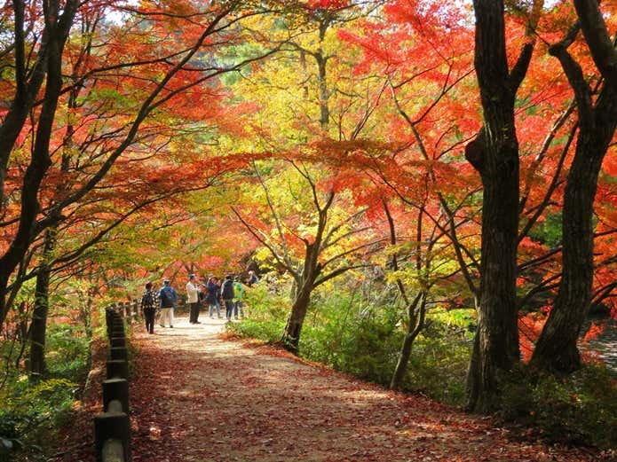 森林植物園