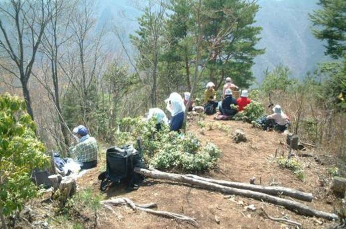 坪山