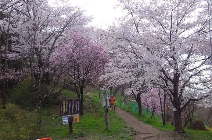 光城山登山口
