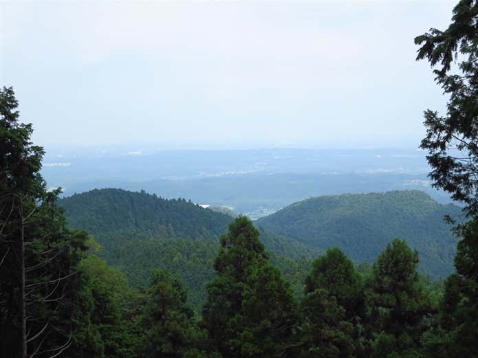 大高取山と西高取山