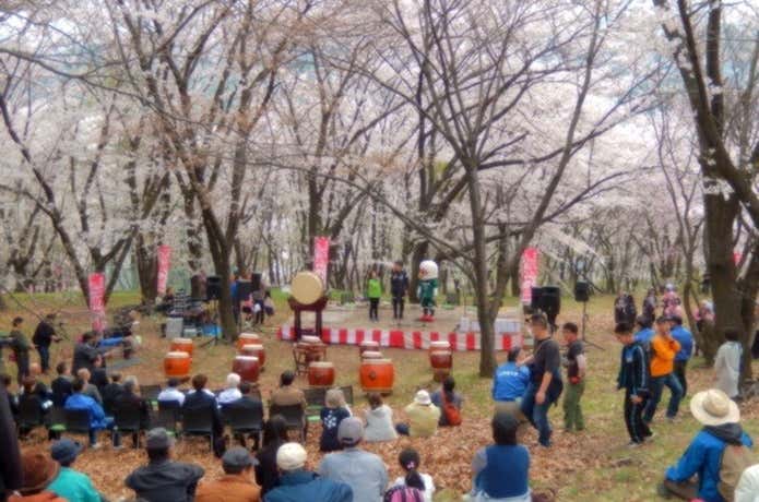 弘法山の桜まつりの様子