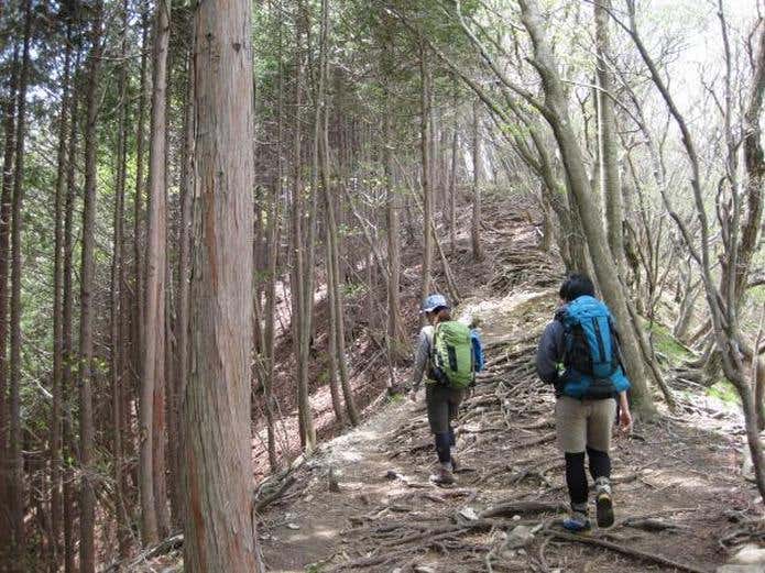 鳴虫山登山