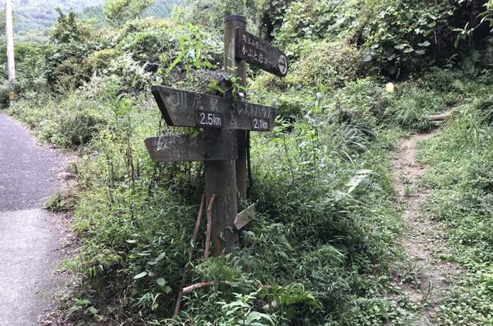 分岐点