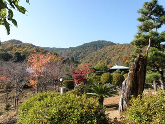 三本松公園