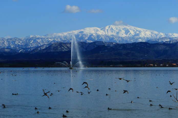 柴山潟と白山連峰