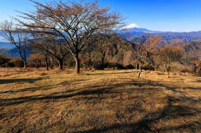 鍋割山山頂からの風景