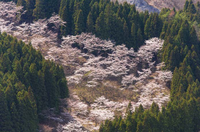 妙義山登山