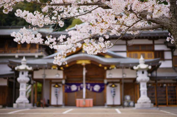 高砂・鹿島神社の桜