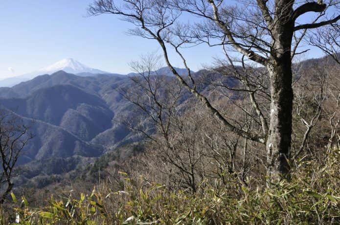 晩秋の丹沢主稜からの富士山展望
