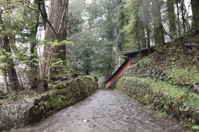 女峰山行者堂スタート