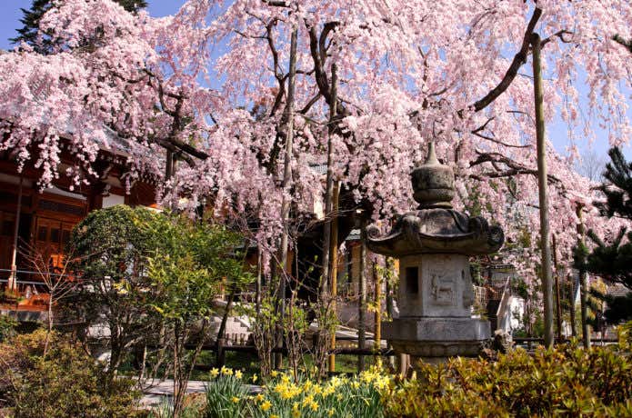 太山寺