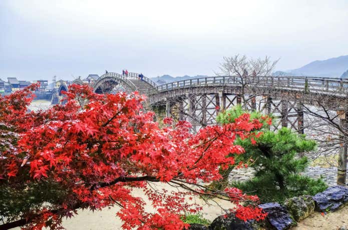 秋の錦帯橋