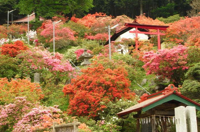 五大つつじ公園
