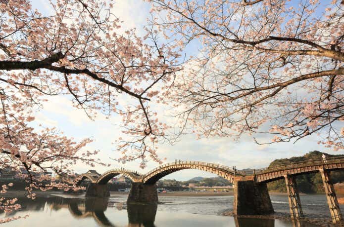 春の錦帯橋