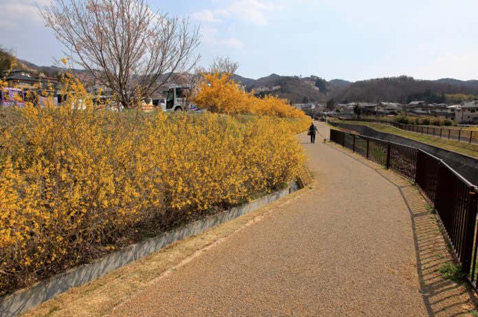 花見山公園までの歩行者専用道路