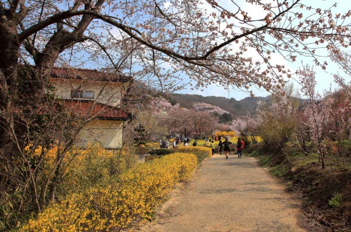 花見山公園までの道