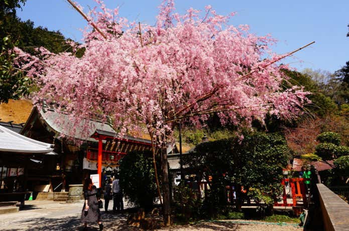 太平山神社