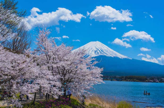 富士山と桜