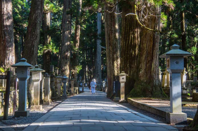 高野山 参道