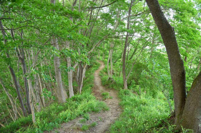 鎌倉遊歩道