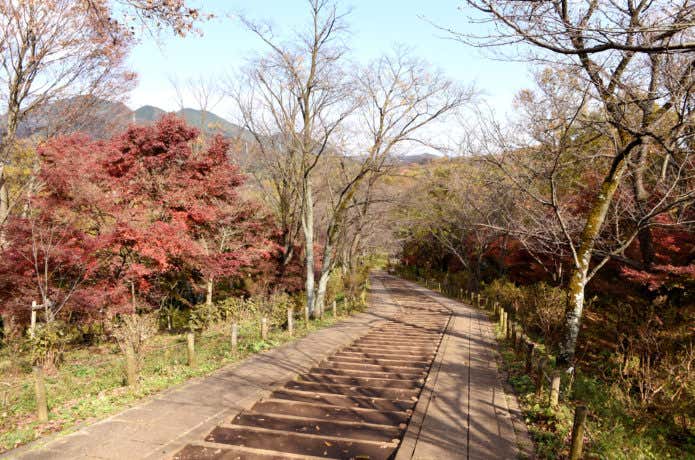 弘法山公園