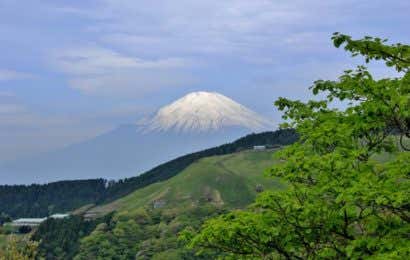 大野山から見る富士山