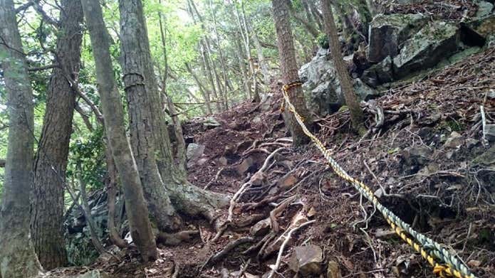 坪山の登山コース