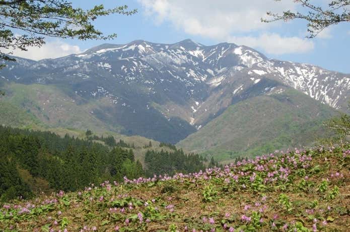 守門岳