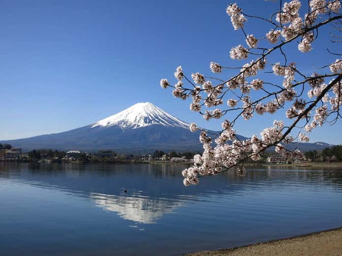 富士山世界遺産